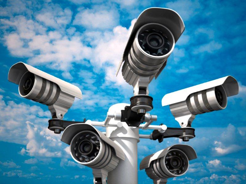 wp-monitoring